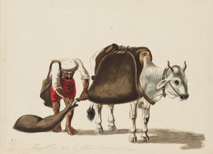 Woźnica, c1810 autorstwa Sewak Ram