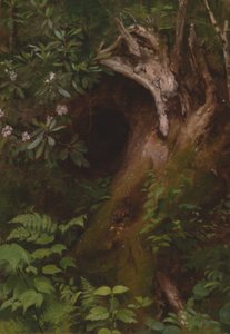 Wiewiórka autorstwa Seymour Joseph Guy