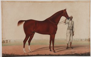Koń i pan młody, ok.1840