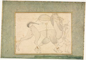 Wielbłąd i oczyszczenie, ilustracja na jednej stronie, c. 1545-1576. autorstwa Shaykh Muhammad