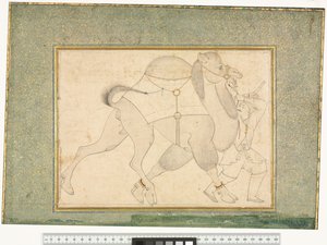 Wielbłąd i Pan Młody, ok.1545-76 autorstwa Shaykh Muhammad