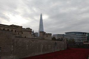 Krwawe ziemie i morza czerwieni, Tower of London, 2014.