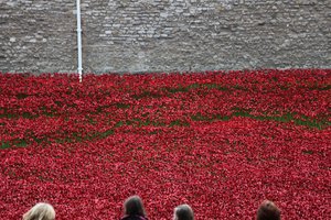 Krwawe ziemie i morza czerwieni, Tower of London, 2014.