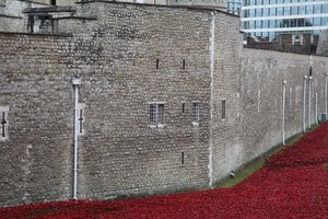 Krwawe ziemie i morza czerwieni, Tower of London, 2014.