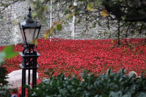 Krwawe ziemie i morza czerwieni, Tower of London, 2014.