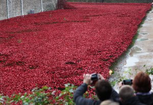 Krwawe ziemie i morza czerwieni, Tower of London, 2014.