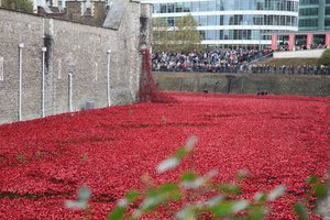 Krwawe ziemie i morza czerwieni, Tower of London, 2014.