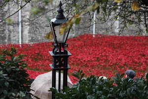 Krwawe ziemie i morza czerwieni, Tower of London, 2014.
