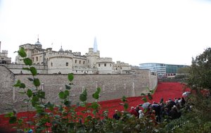 Krwawe ziemie i morza czerwieni, Tower of London, 2014.
