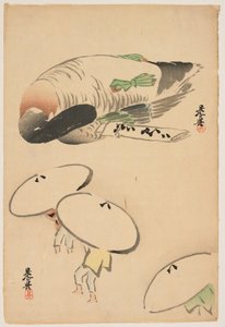  autorstwa Shibata Zeshin