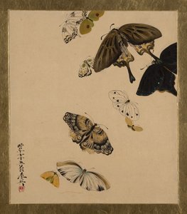Malowidła lakierowane o różnej tematyce: motyle, dat. 1881. autorstwa Shibata Zeshin
