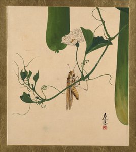  autorstwa Shibata Zeshin
