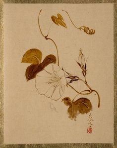  autorstwa Shibata Zeshin