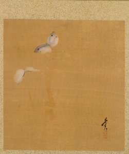 Ćmy z Albumu Malarstwa Czcigodnego Zeshina autorstwa Shibata Zeshin