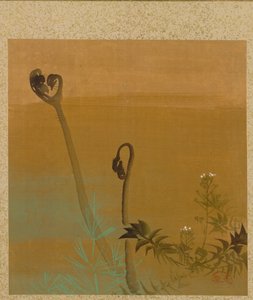 Nowe paprocie z albumu obrazów Czcigodnego Zeshina autorstwa Shibata Zeshin