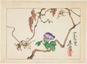  autorstwa Shibata Zeshin