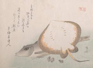 Stingray i Gurnard, prawdopodobnie 1815., prawdopodobnie 1815. autorstwa Shinsai
