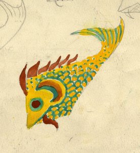 Ilustracja ryby, ok. 1950 r. autorstwa Shirley Markham