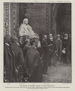 Posąg profesora Thomasa Henry