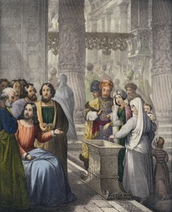 Roztocza wdowie (kolorowy grawerunek) autorstwa Siegfried Detler Bendixen