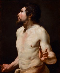 Studium torsu Malarstwo ze szkoły Simona Voueta (1590-1649) (malarstwo) autorstwa Simon (circle of) Vouet