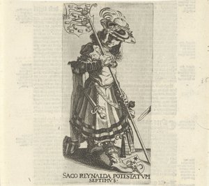 Torba Reinaldy autorstwa Simon Frisius