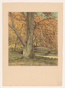 Drzewo nad strumieniem jesienią autorstwa Simon Moulijn (attributed to)