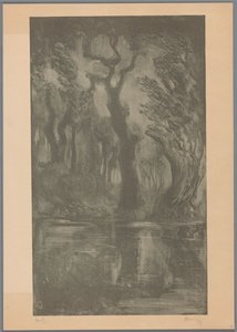 Woda w lesie Las marzeń (tytuł oryginalny) autorstwa Simon Moulijn (signed by artist)