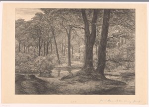 Widok Hunnenschans na Veluwe Hunnenschang (tytuł oryginalny)