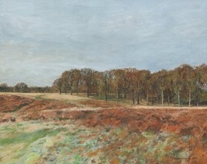 Richmond Park, 2019 (olej na płótnie) autorstwa Simon Neville