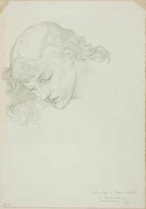 Głowa, Studium dla Lustra Wenus autorstwa Sir Edward Burne Jones