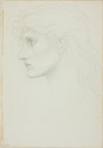 Głowa dziewczyny skierowana w lewo autorstwa Sir Edward Burne Jones