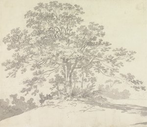 Drzewo autorstwa Sir George Howland Beaumont seventh Baronet
