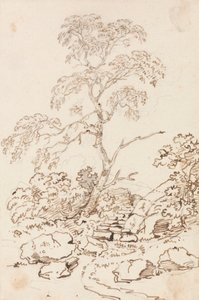 Drzewo krokami autorstwa Sir George Howland Beaumont seventh Baronet