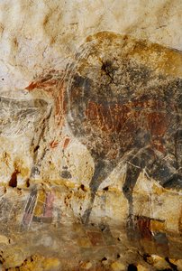 Szczegół grawerowanego obrazu przedstawiającego końskie głowy, Lascaux. autorstwa Sisse Brimberg