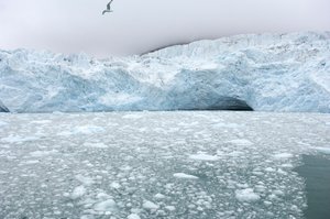 Kawałki lodu z pobliskich lodowców unoszą się na morzu arktycznym, Wyspy Svalbard, Norwegia, 2022 r. (zdjęcie ilustracyjne) autorstwa Sisse Brimberg