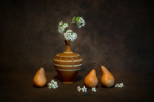 Rustykalna martwa natura z kwiatami autorstwa Siyu_Wei APA
