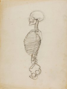 Anatomy autorstwa Solon H. Borglum