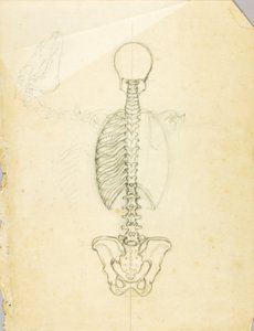 Badanie anatomii autorstwa Solon H. Borglum