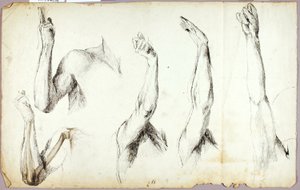 Arm Studies, #2