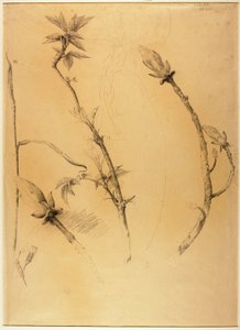 Oddziały autorstwa Solon H. Borglum