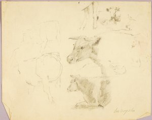 Krowy autorstwa Solon H. Borglum