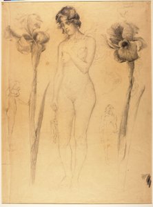 Nude i Iris autorstwa Solon H. Borglum
