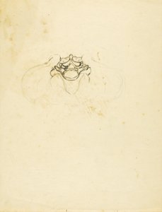 Miednica autorstwa Solon H. Borglum