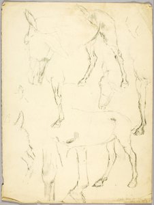 Studium portretu, Studium konia autorstwa Solon H. Borglum