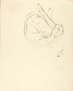 Pływak autorstwa Solon H. Borglum