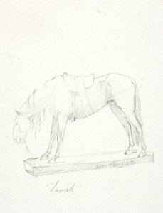 Oswojony autorstwa Solon H. Borglum