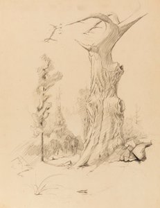Bez tytułu autorstwa Solon H. Borglum