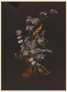 Bukiet Jesienny, ca. 1890