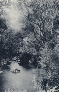 Scena z baśni, niedaleko Witpoortje (zdjęcie czarno-białe) autorstwa South African Photographer